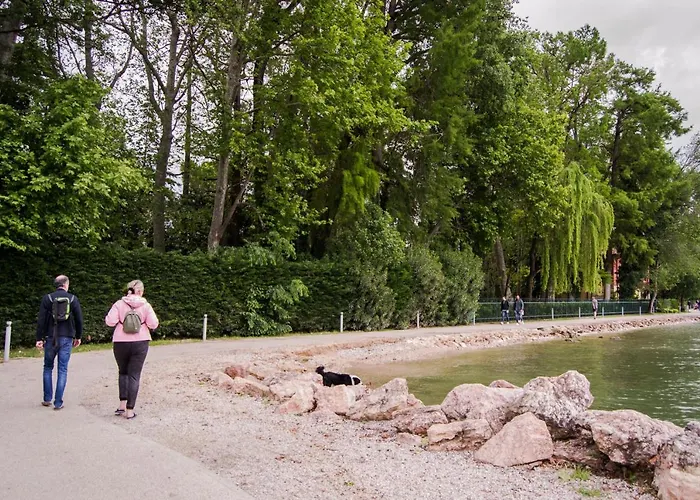 Daisy Daire Bardolino