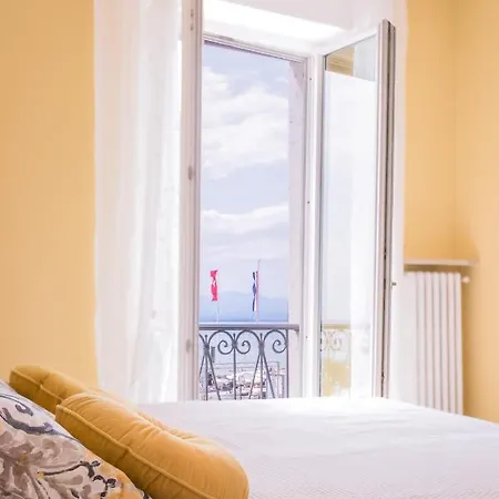 Daisy * Бардоліно